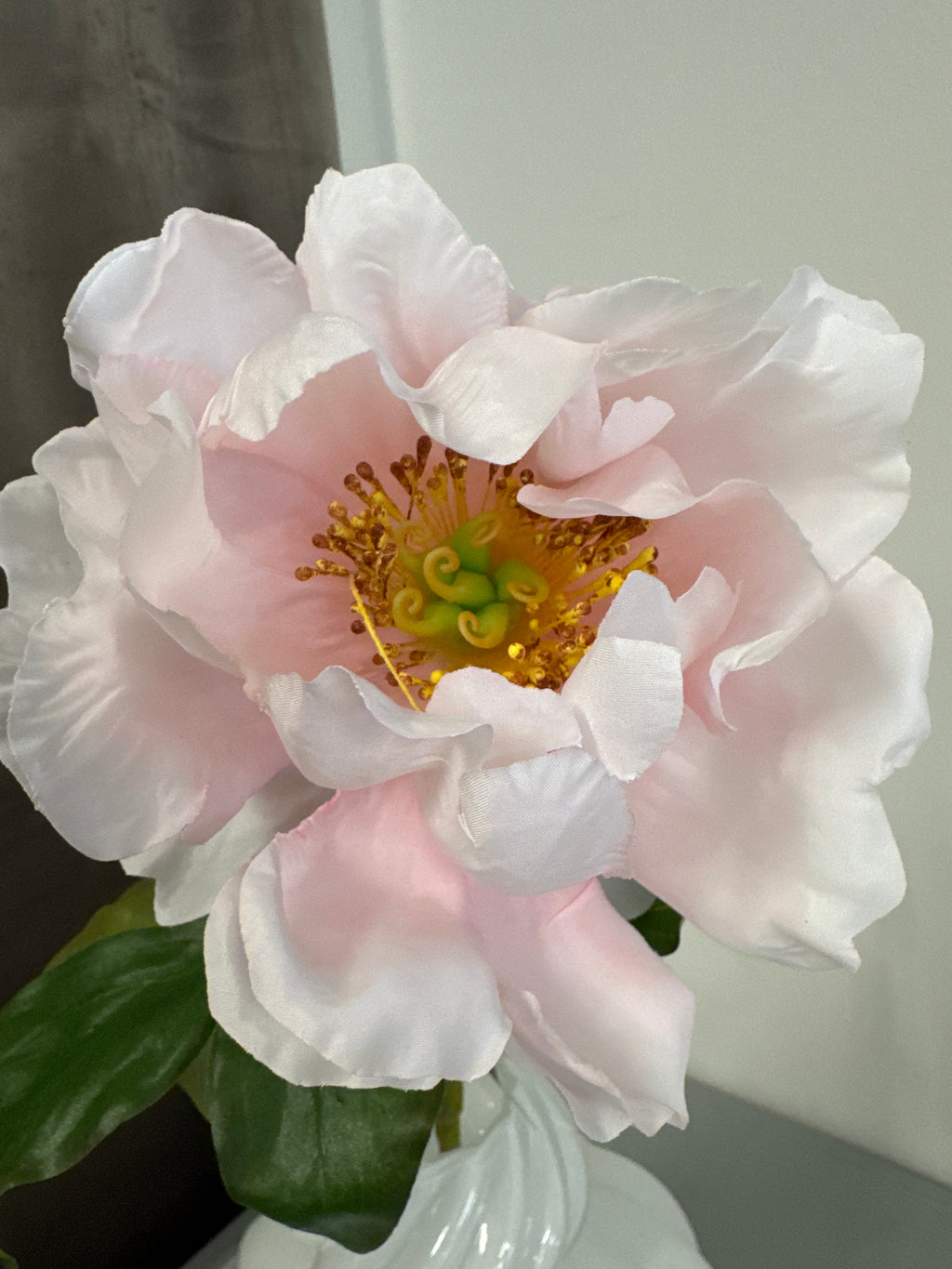 Pæon let rosa