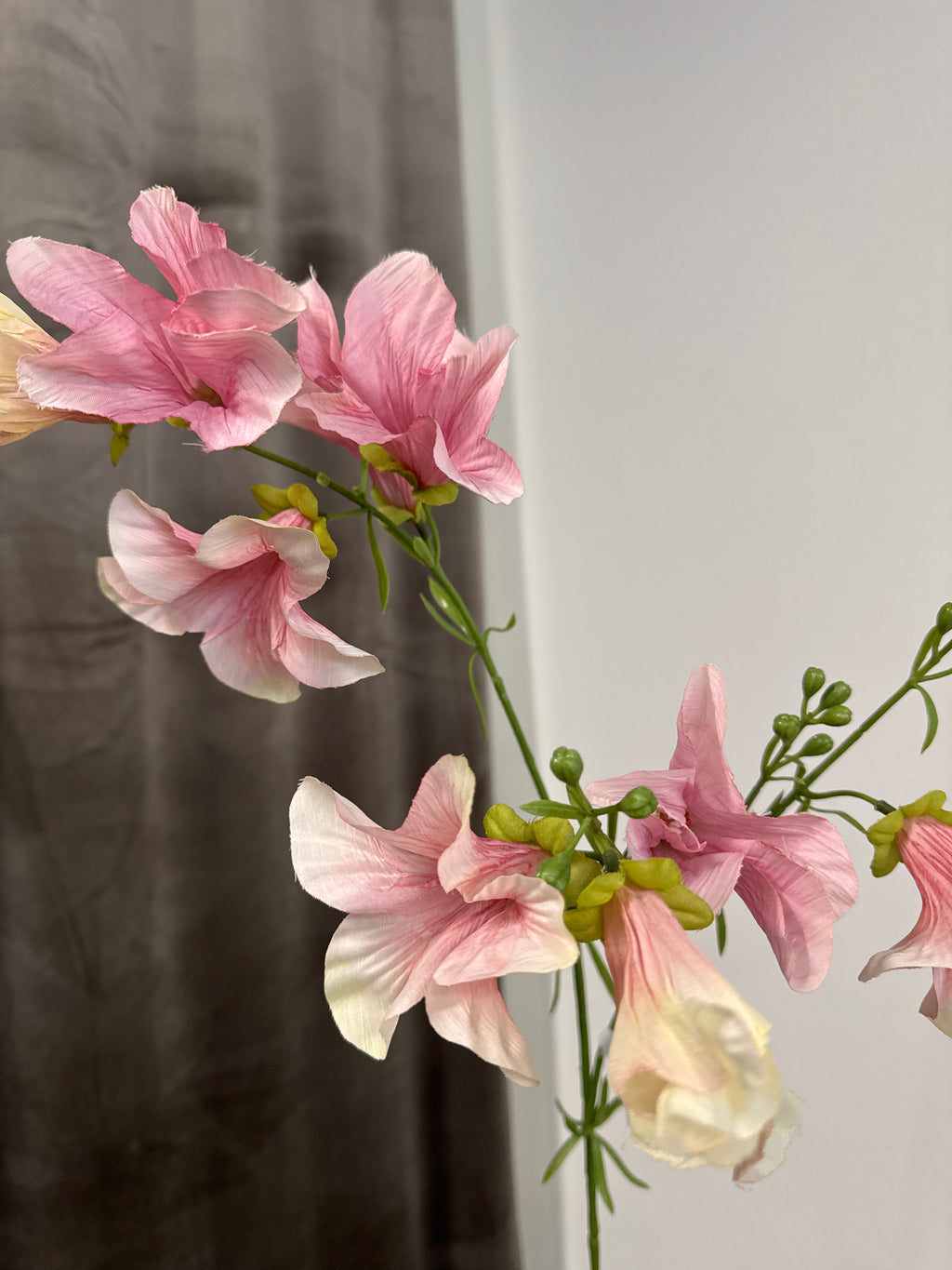 Petuna blomst lyserød