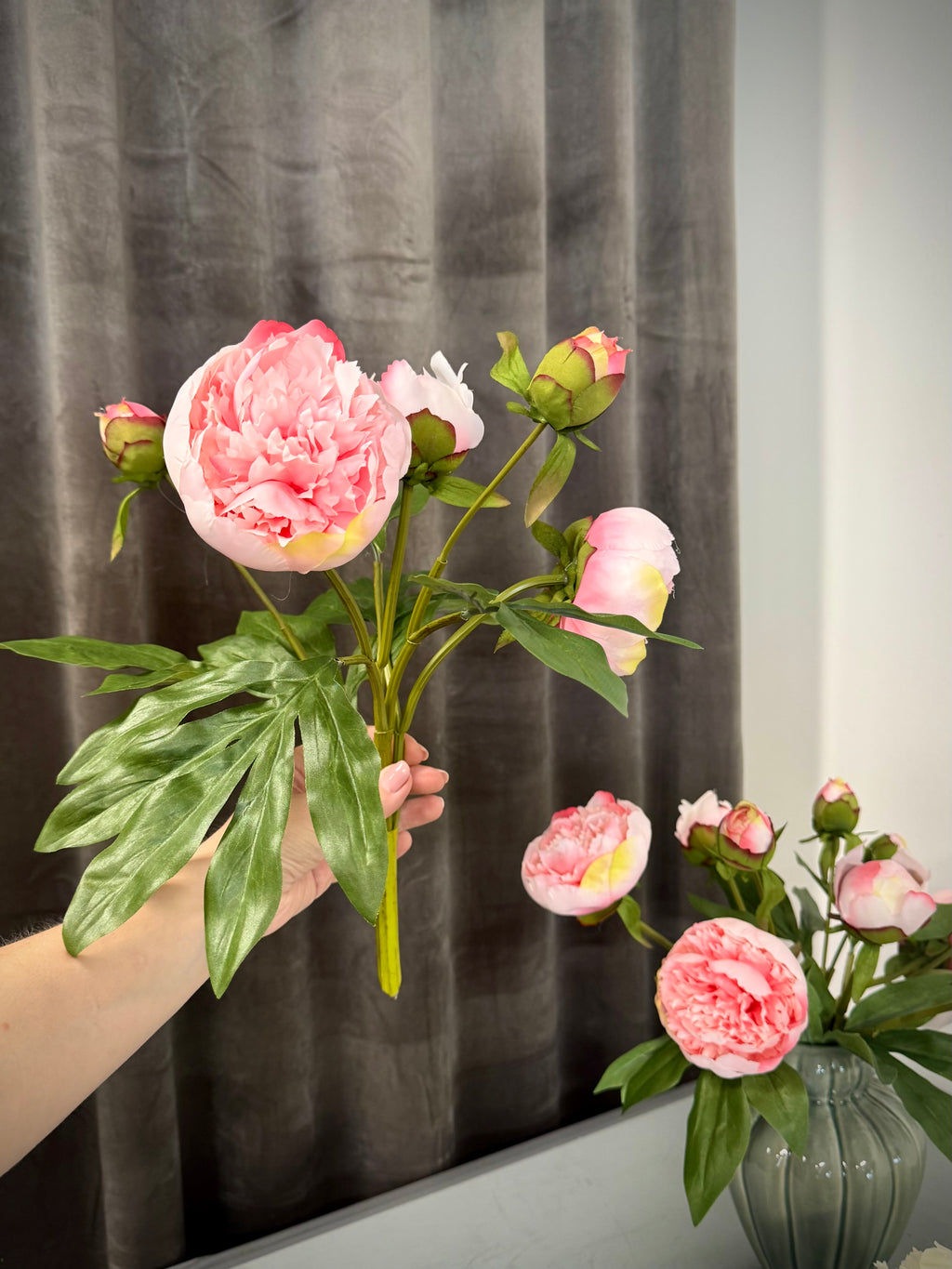 2 stk. pæoner lyserød