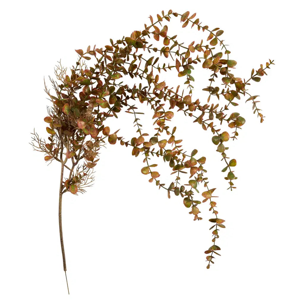 Eukalyptus hængegren 96cm