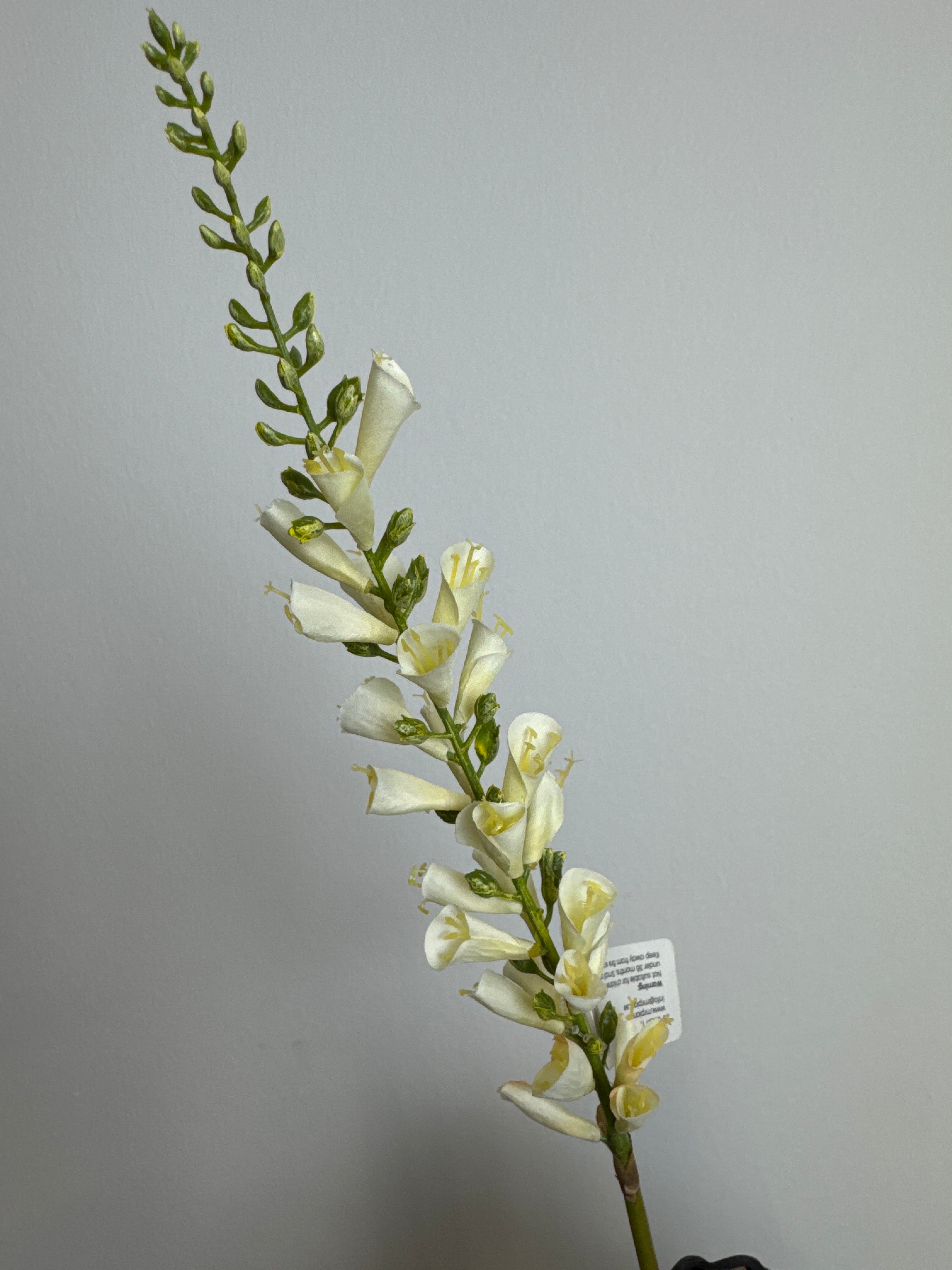 Digitalis creme