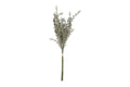 Phytolacca bundt m/ 3 stk grøn h 60 cm