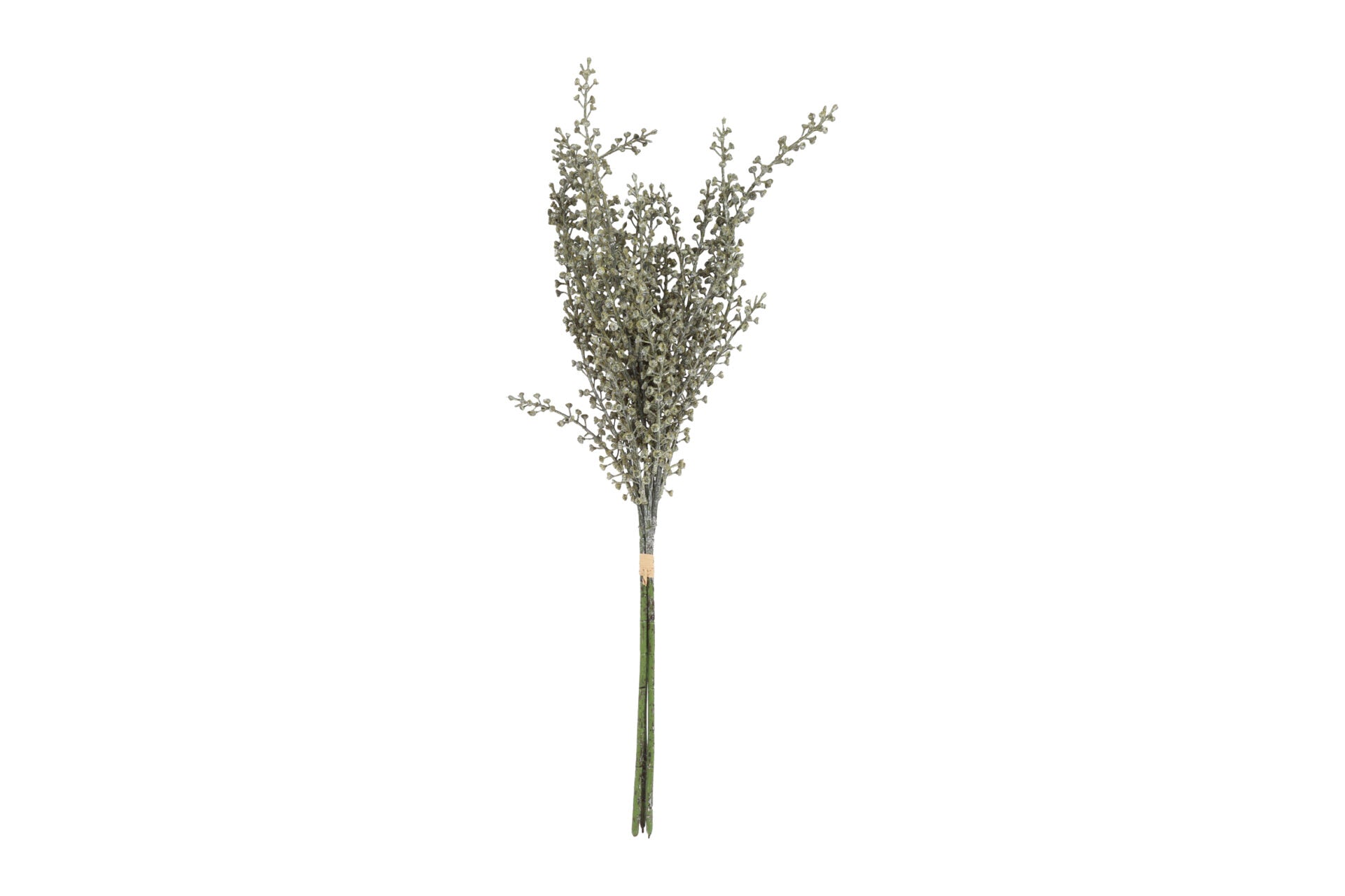 Phytolacca bundt m/ 3 stk grøn h 60 cm