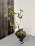 Pittosporum gren grøn Udgår