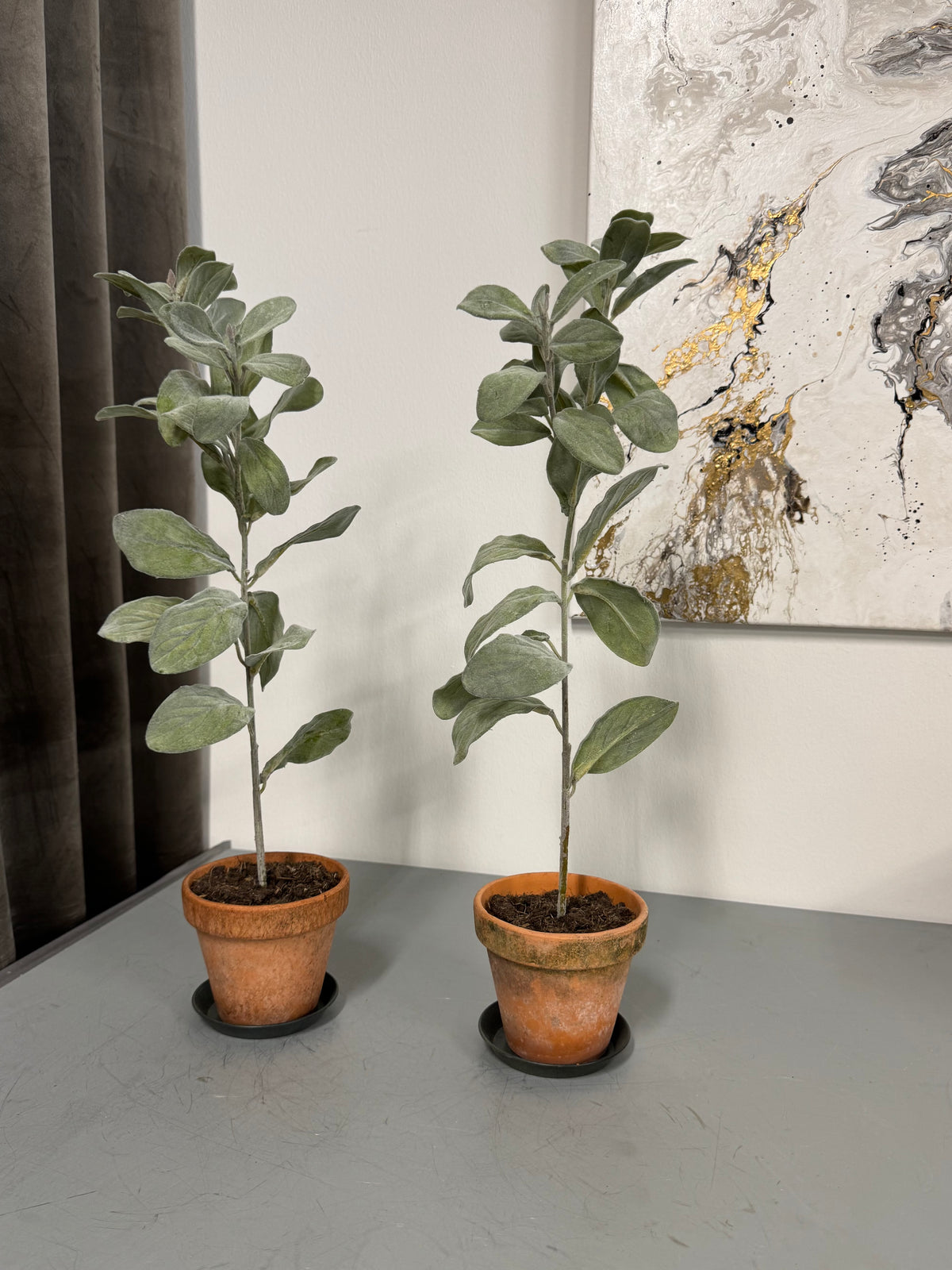 Salviakvist 60 cm
