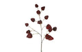 Physalis bordeaux h 82 cm