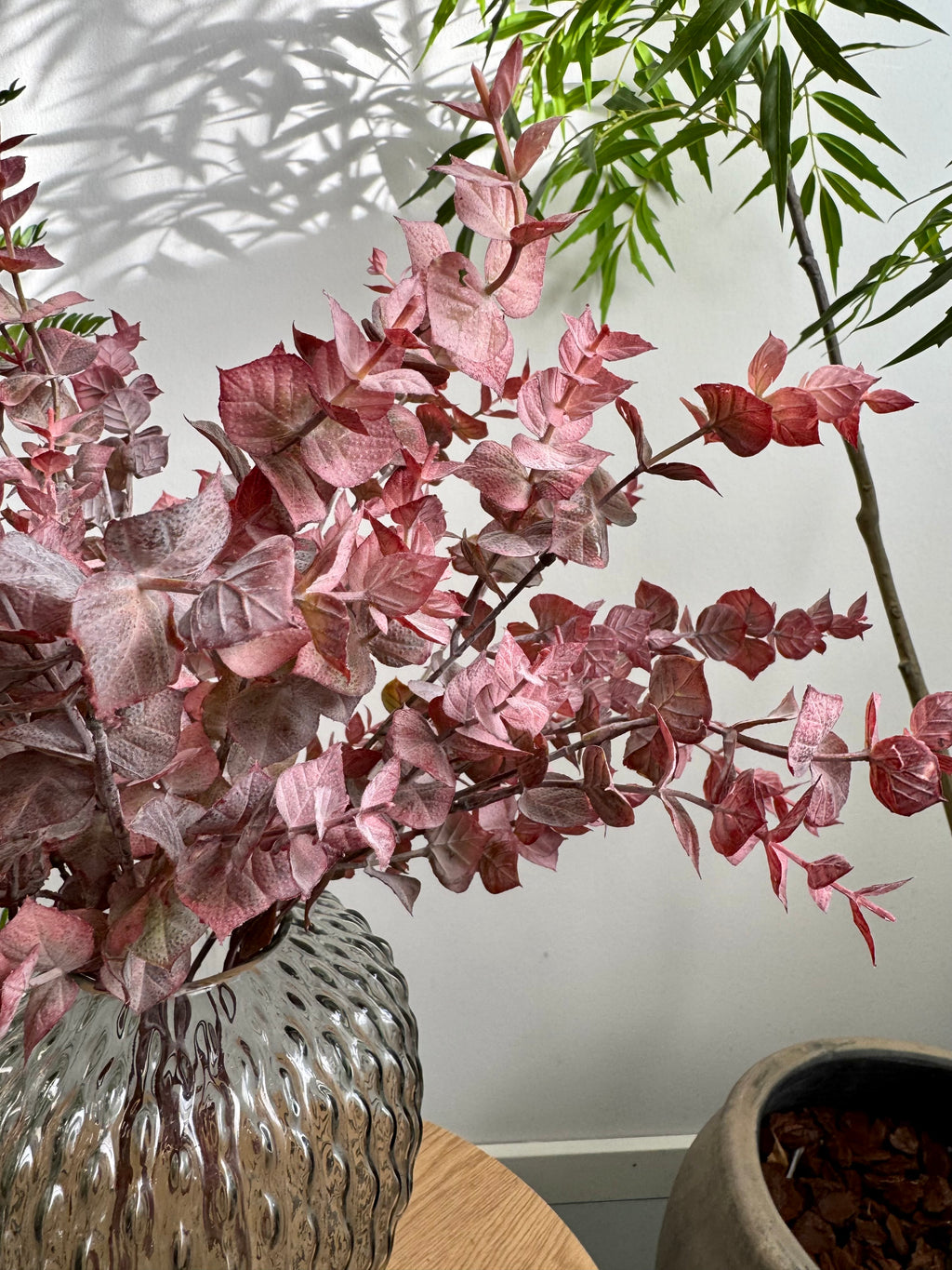 2 stilke rosa eucalyptus