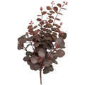Rød eucalyptus 71 cm