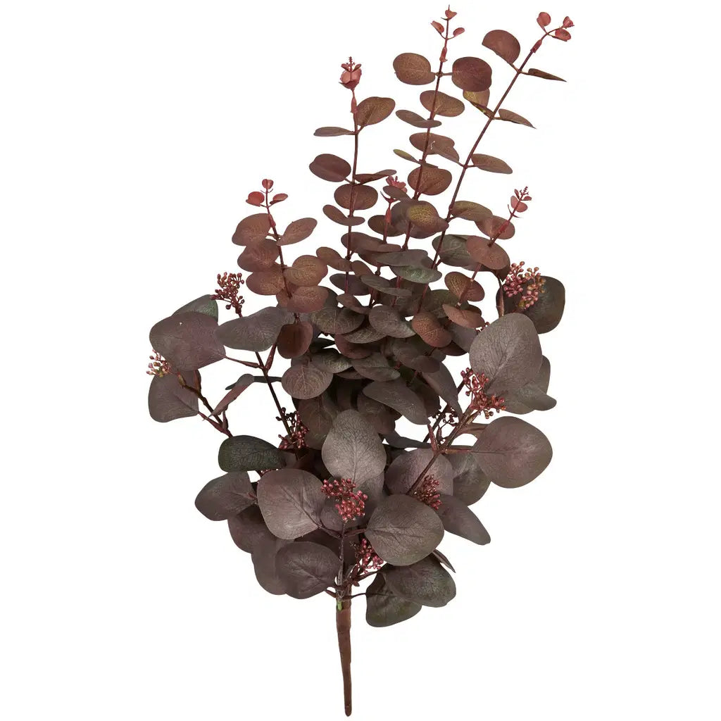 Rød eucalyptus 71 cm