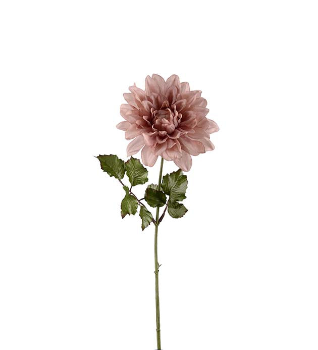Dahlia Rosa 45 cm