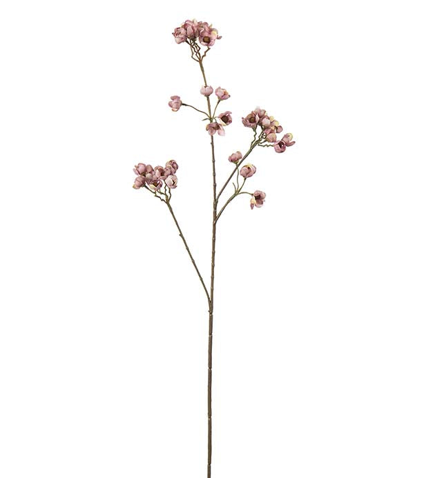Ferskenblomst lilla 67 cm