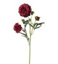 Chrysanthemum burgundy 52 cm