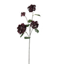 Hortensia mørkerød