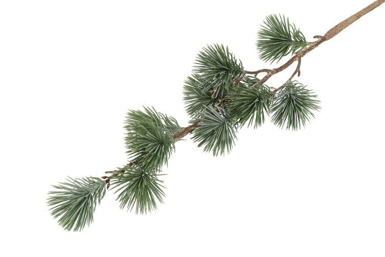 Ceder gran støvet grøn h 64 cm