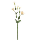 Prærieklokke creme 73 cm