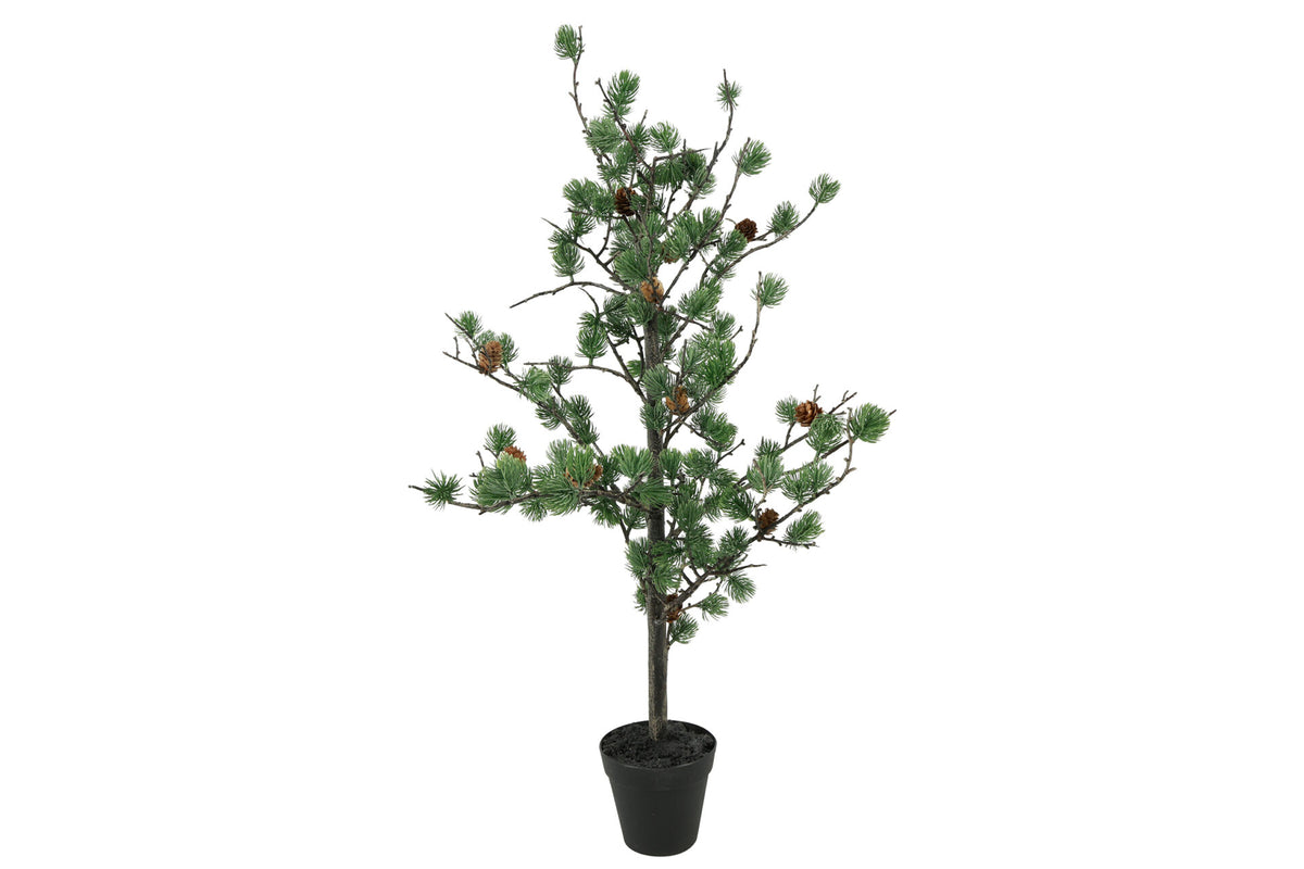 Lærketræ med kogler. Støvet grøn 78 cm