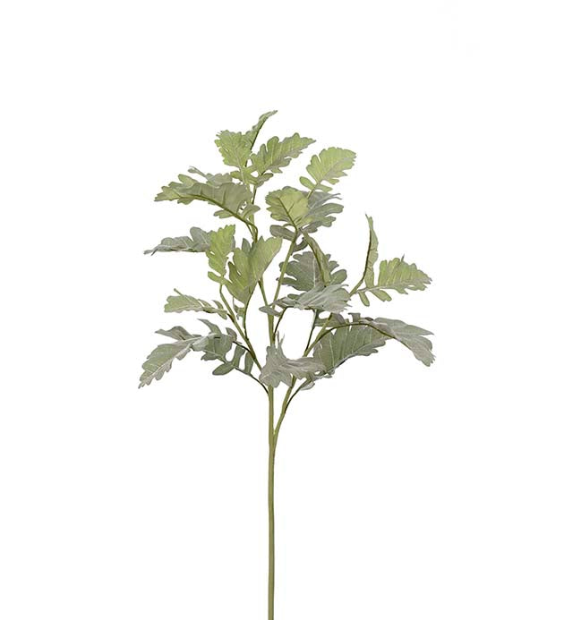 Silverek 70 cm