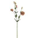 Prærieklokke Rosa 73 cm