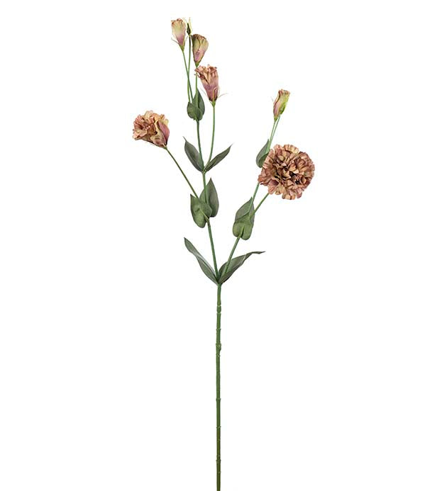 Prærieklokke Rosa 73 cm