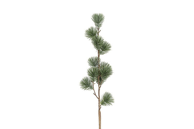 Ceder gran støvet grøn h 64 cm