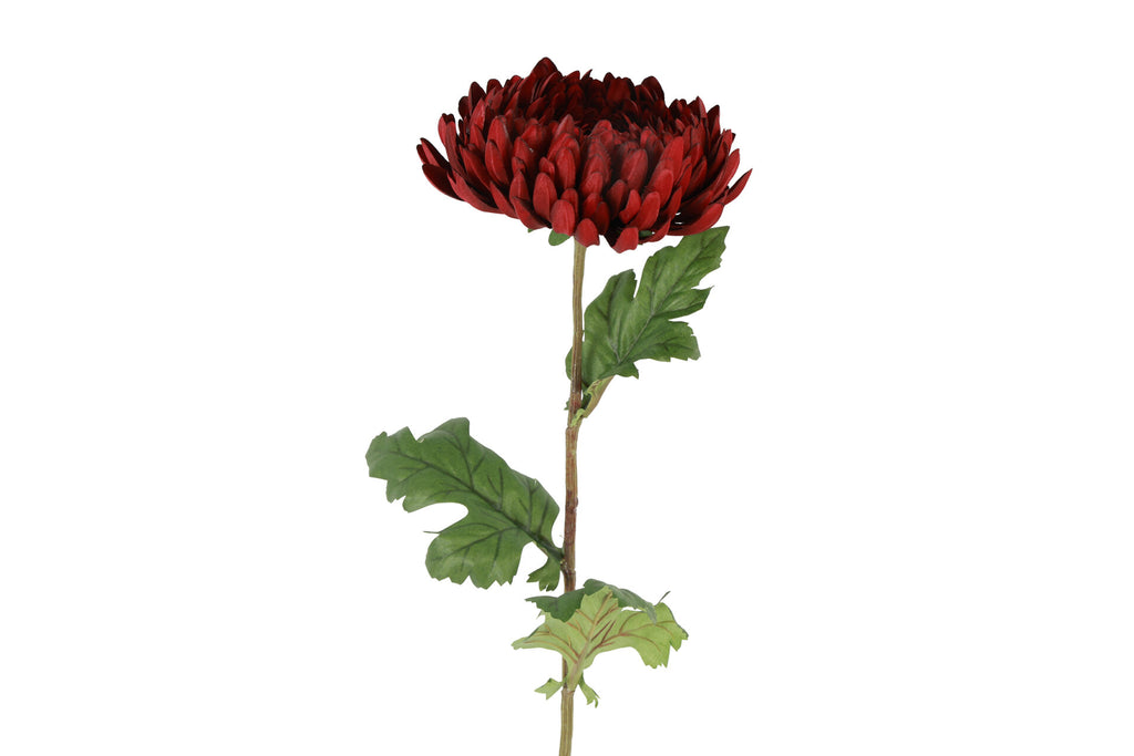 Chrysanthemum bordeaux h 76 cm