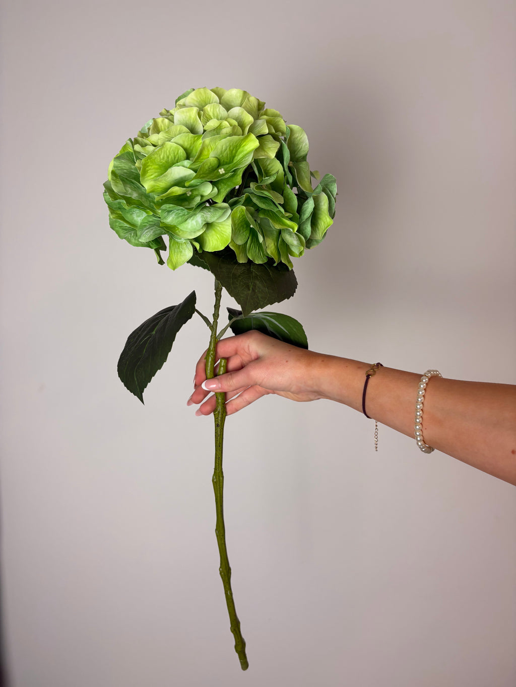 Deluxe hortensia grøn