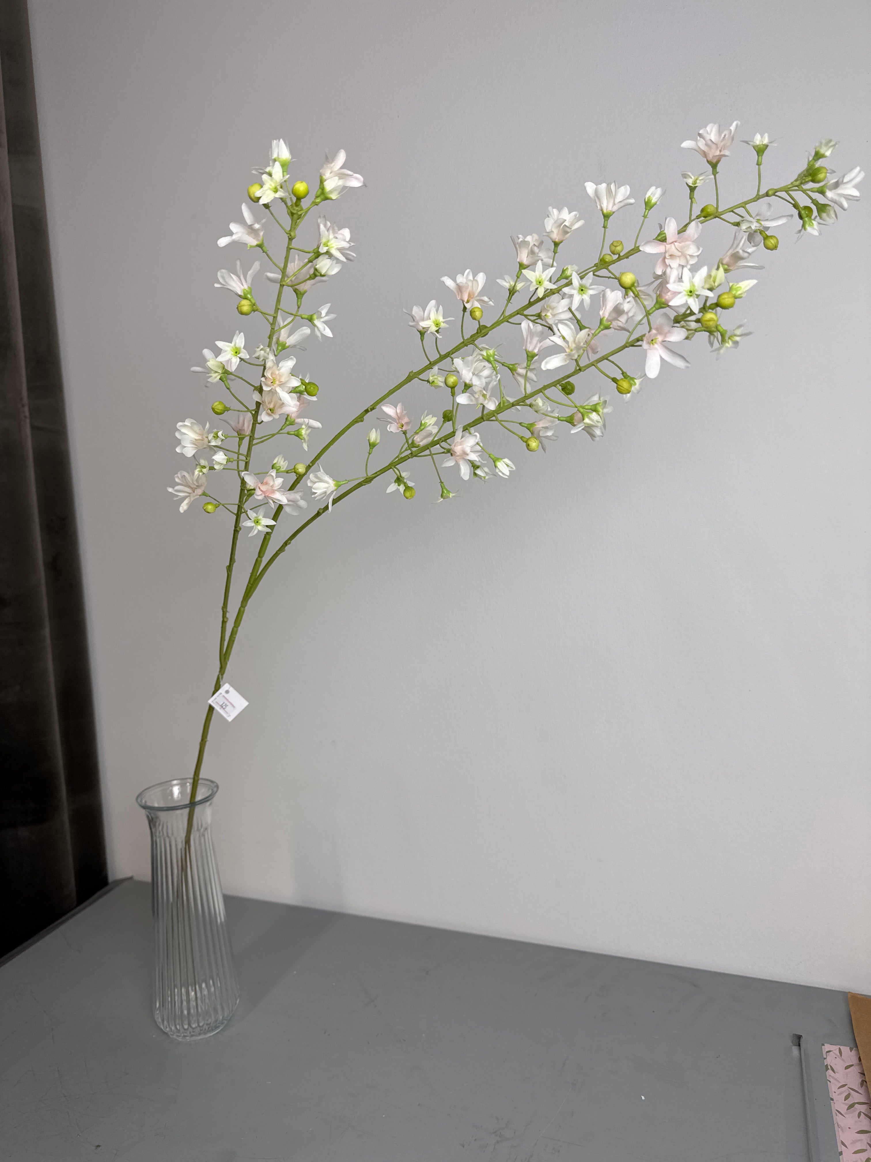 Hvid lang blomsterstilk