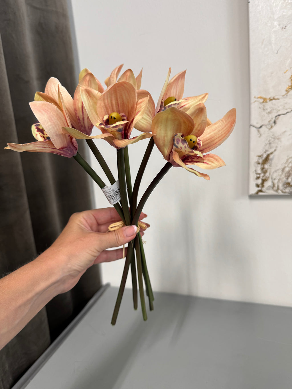 Cymbidium bdt. 6 stk.
