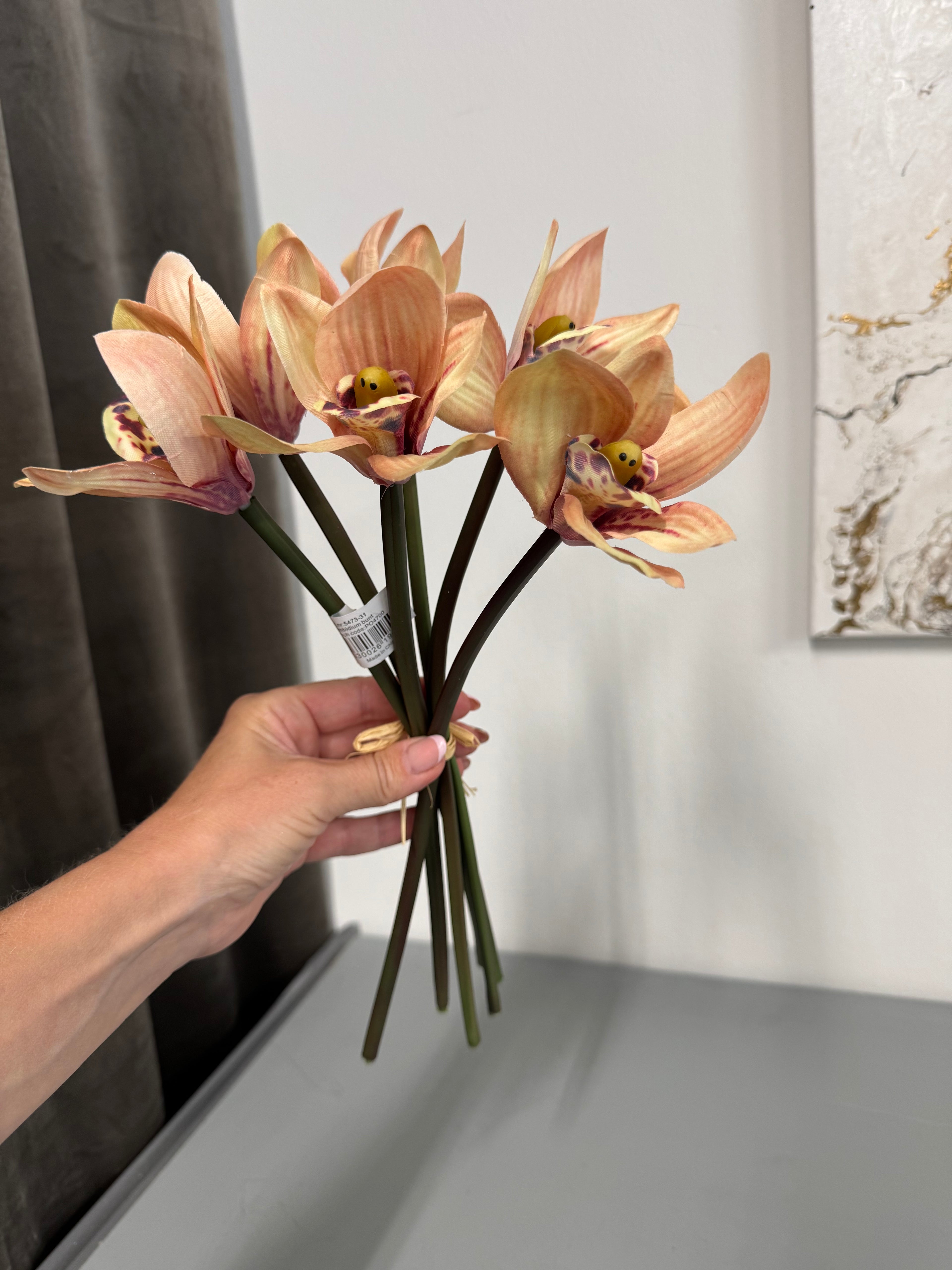 Cymbidium bdt. 6 stk.