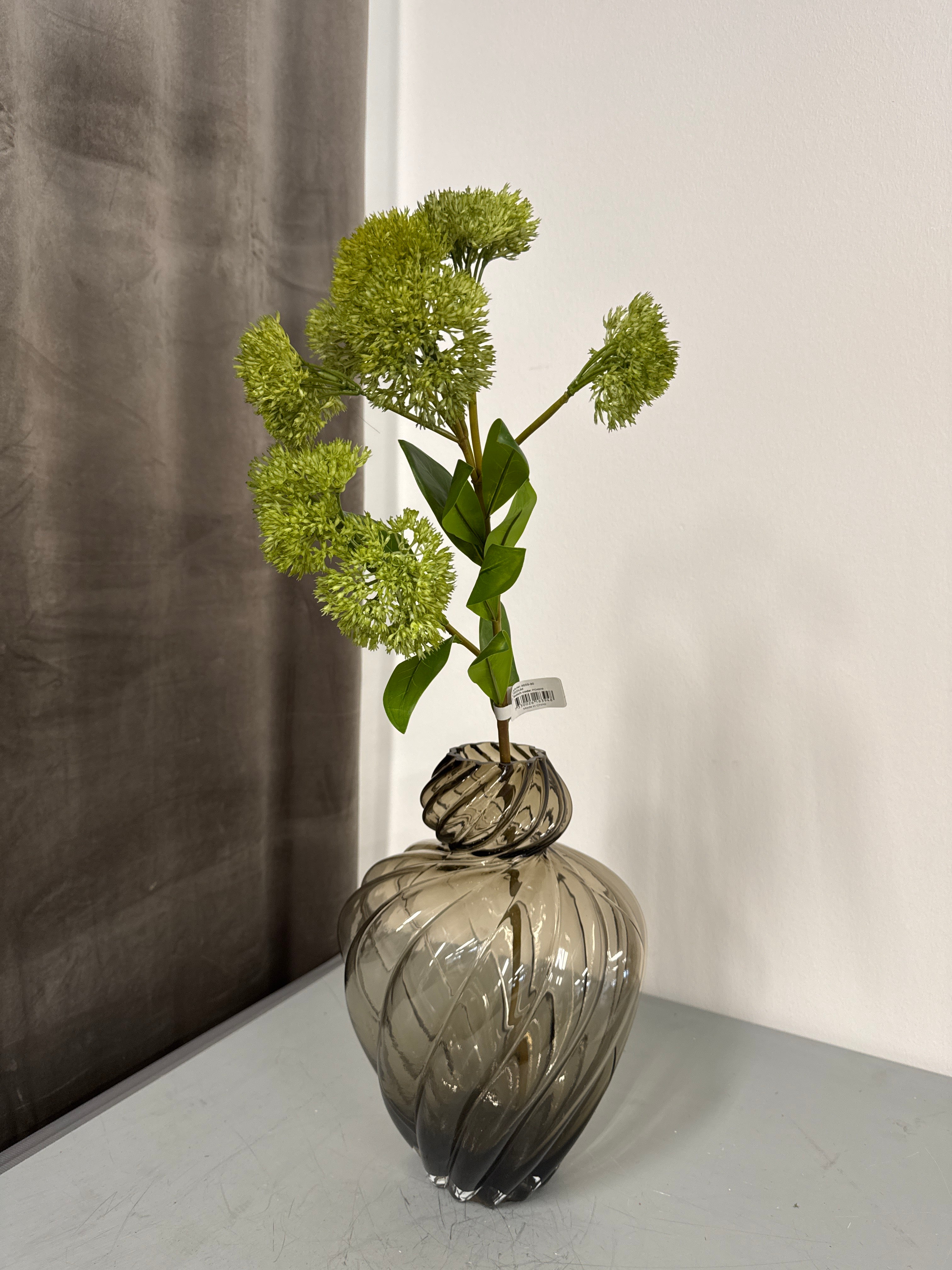 Grøn sedum. Sankthans urt