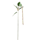 Amaranthus lys 70 cm