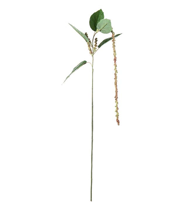 Amaranthus lys 70 cm
