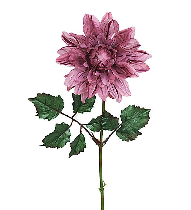 Dahlia lilla 45 cm