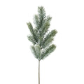 Blågran gren h 50 cm