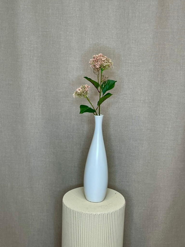 Skimmia rosa h 65 cm
