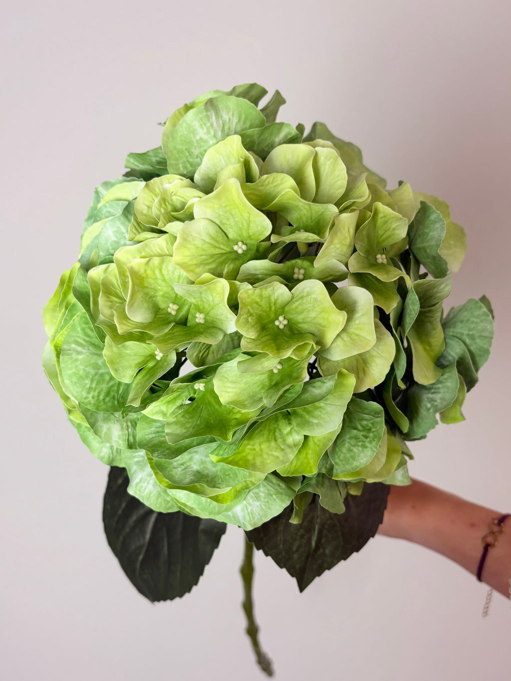 Deluxe hortensia grøn
