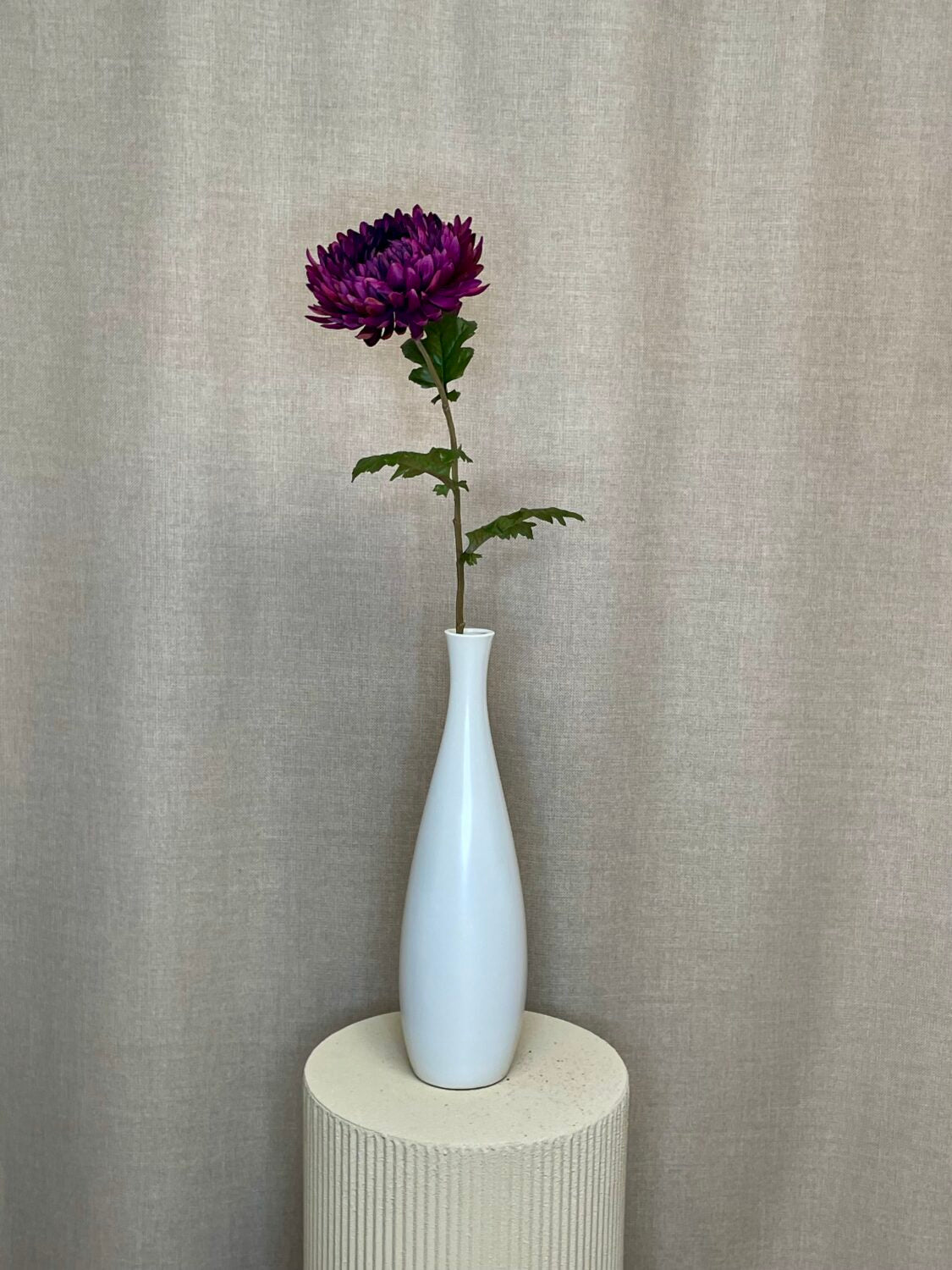 Chrysanthemum purple h 76 cm