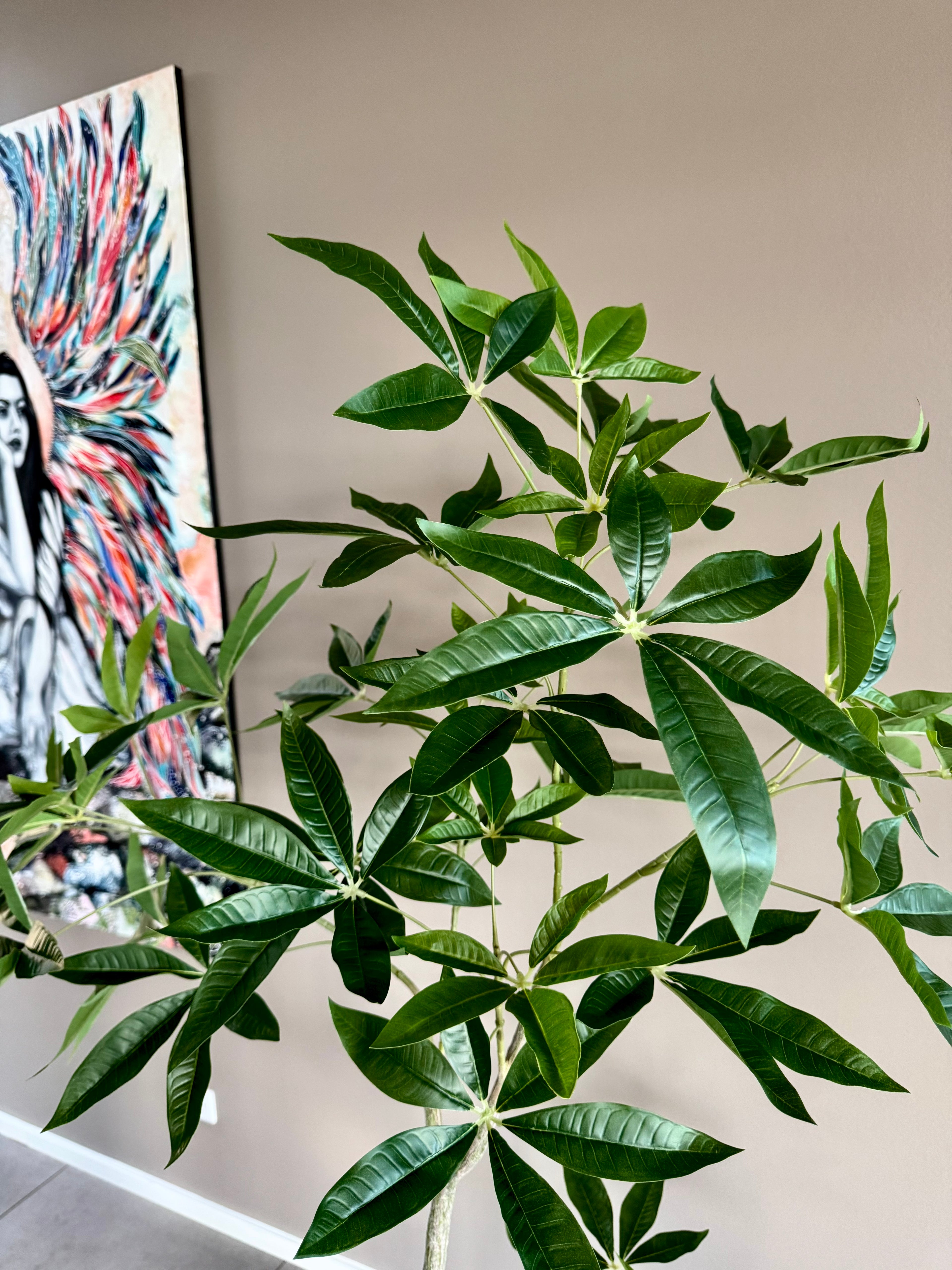 Pachira træ h 150 cm