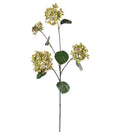 Hortensia grøn/rosa 80 cm