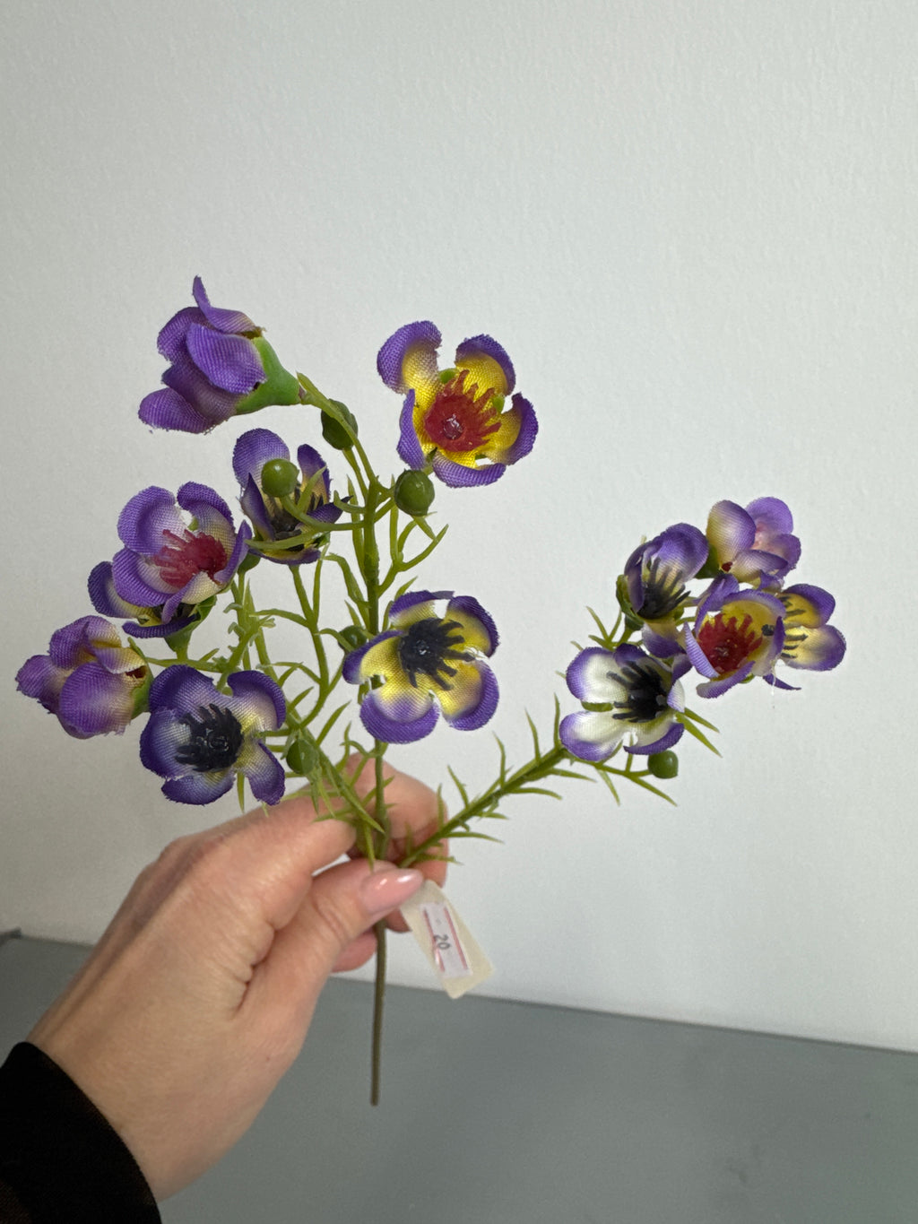 Lille voksblomst lilla