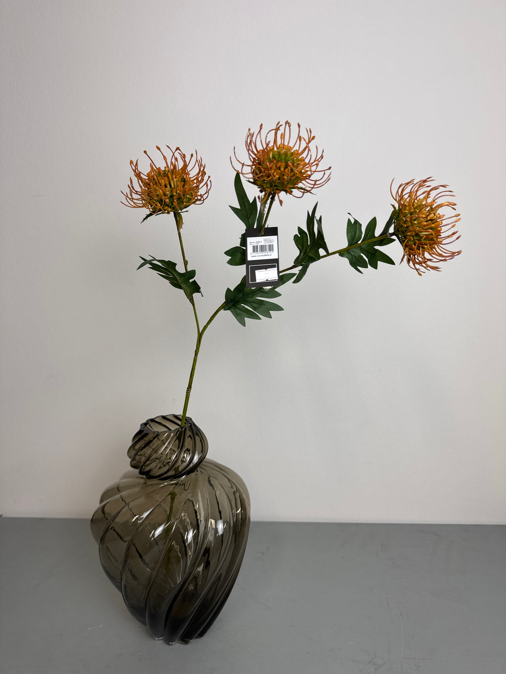 Protea blomst orange