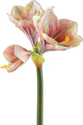 Amaryllis rosa real touch h 68 cm