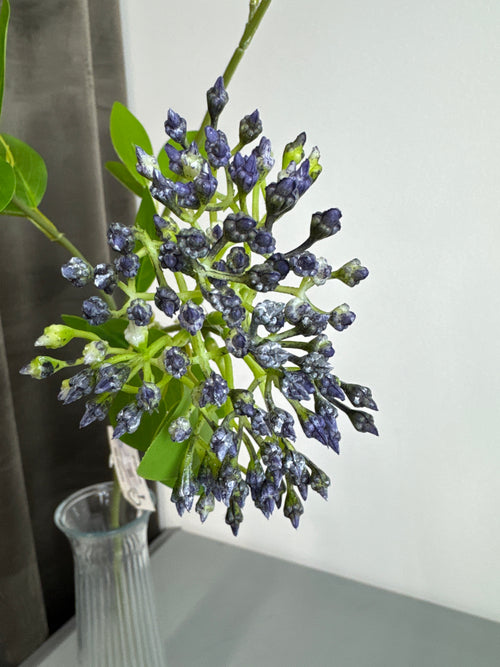 Blomst blå
