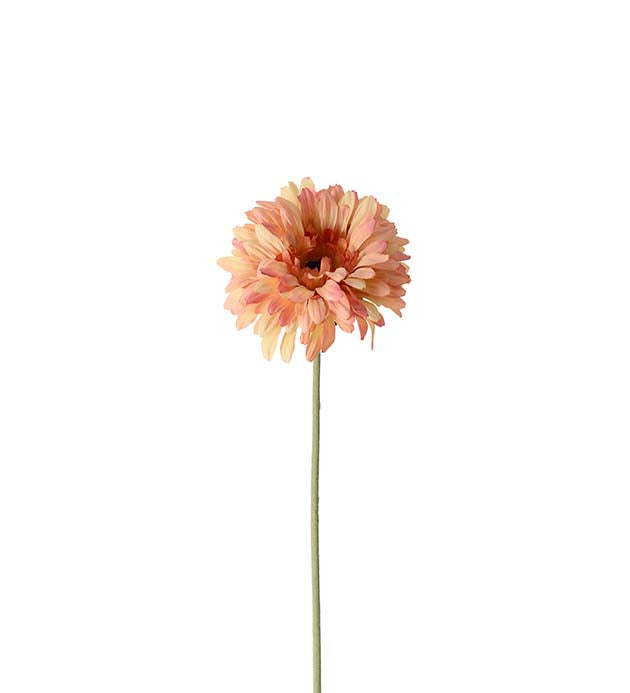 Gerbera peach 55 cm