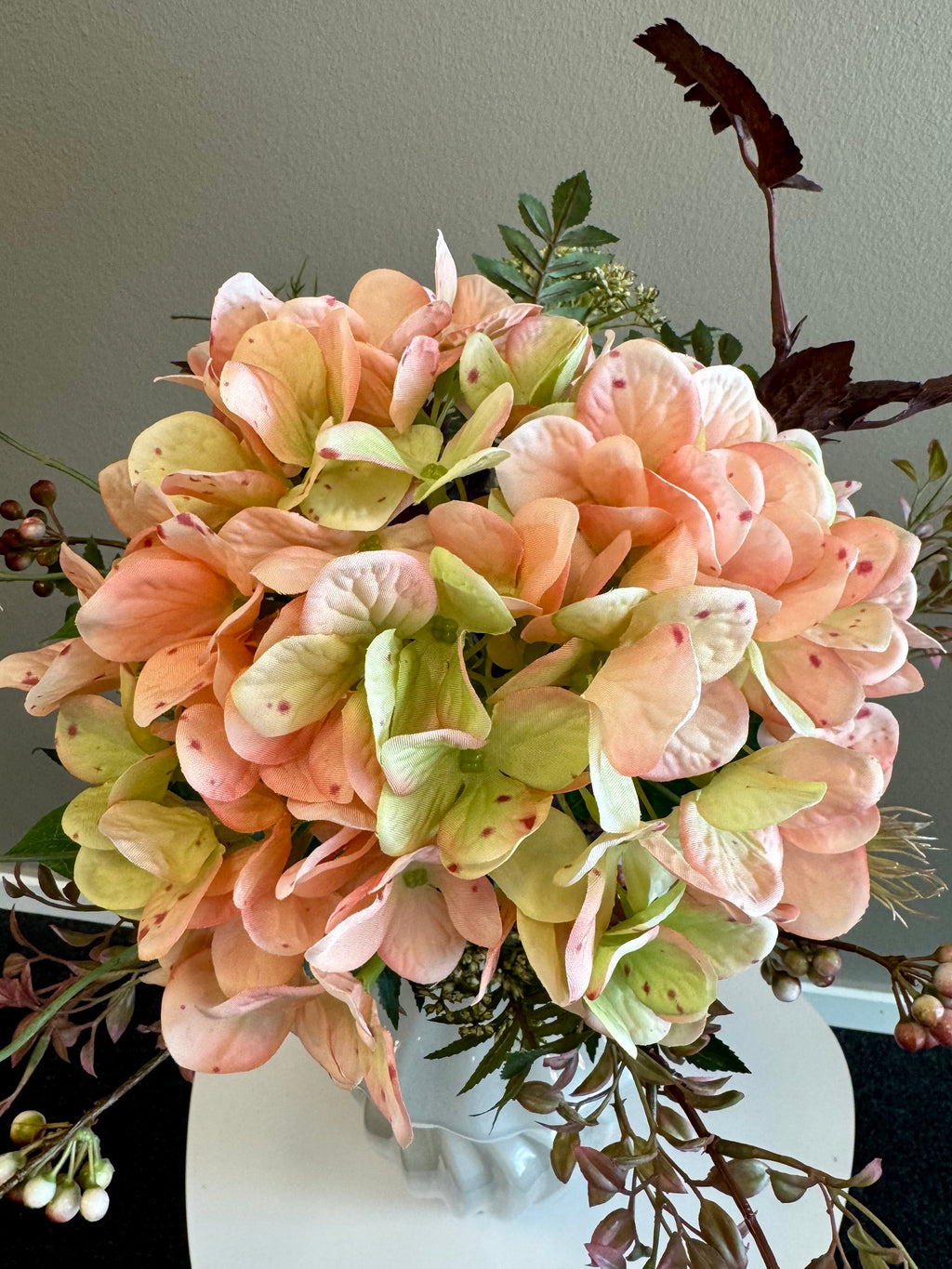 Peach Hortensia drøm