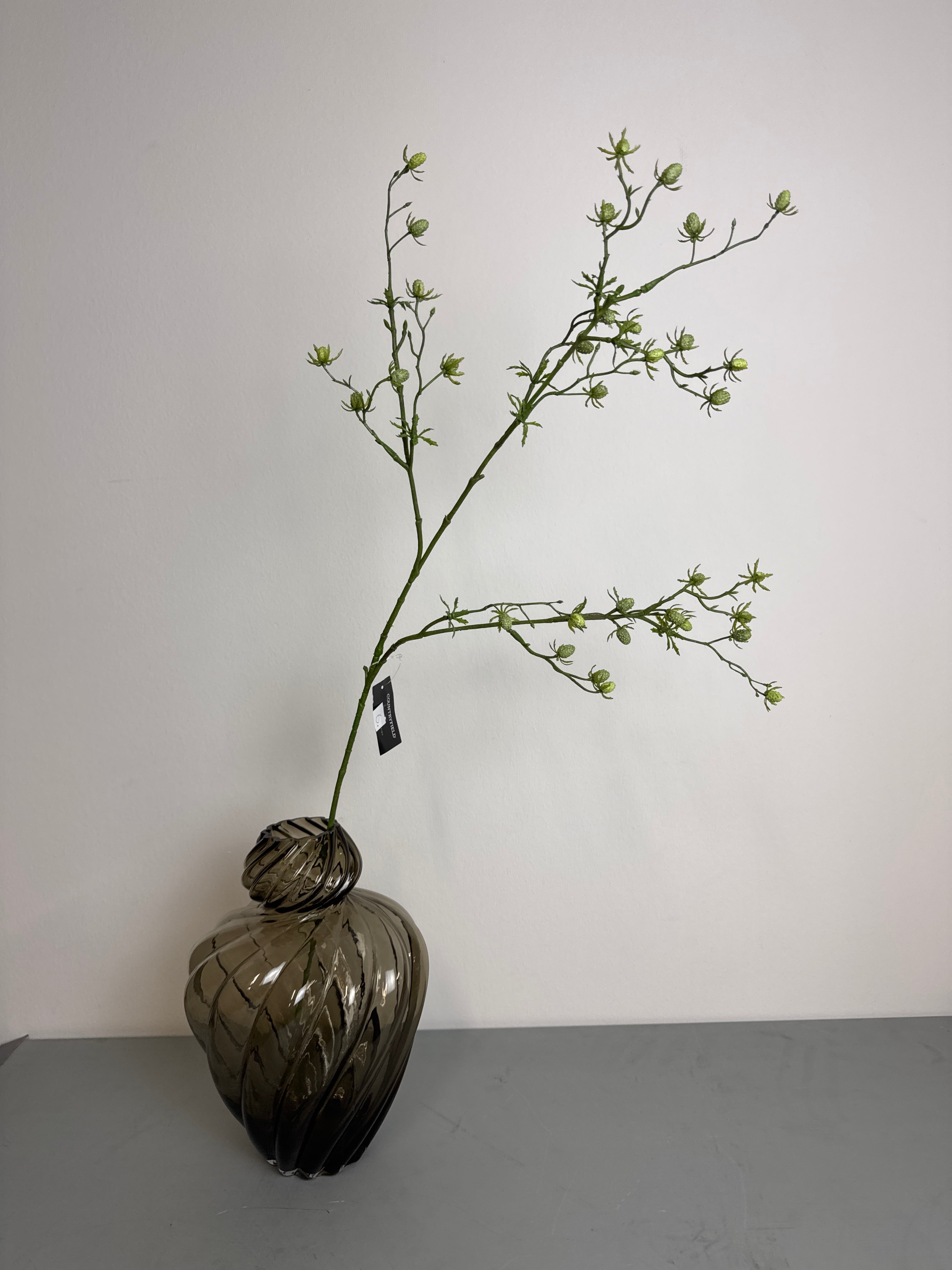 Tidsel med små hoveder