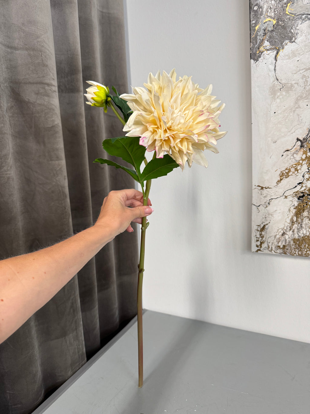Dahlia med fejl