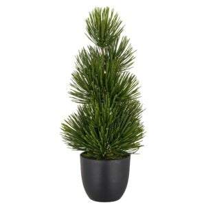 Fyrretræ i potte. H 36 cm