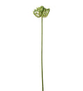 Bærkvist grøn 63 cm
