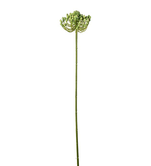 Bærkvist grøn 63 cm